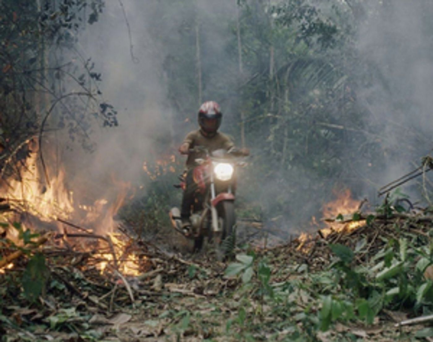 Ashland Independent Film Festival Runs Now Through April 10th Ashland Independent Film Festival Runs Now Through April 10th Image