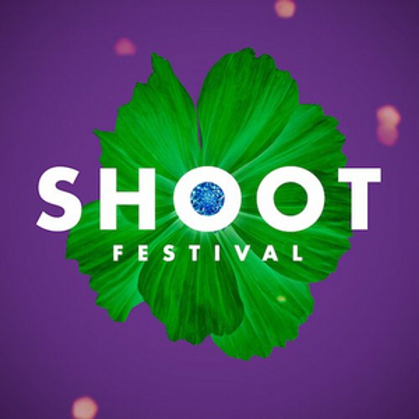 Shoot Festival Announces Full Programme  Image