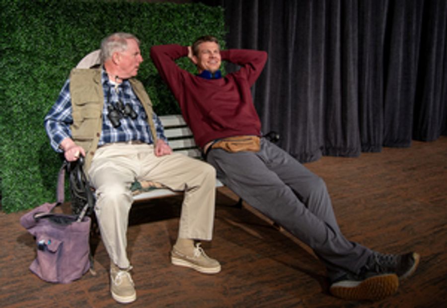 Review: AURA at Ankeny Community Theatre Image