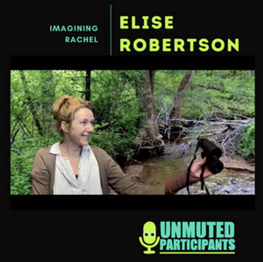 IMAGINING RACHEL Solo Show Runs at Unmuted Participants Online Festival Image