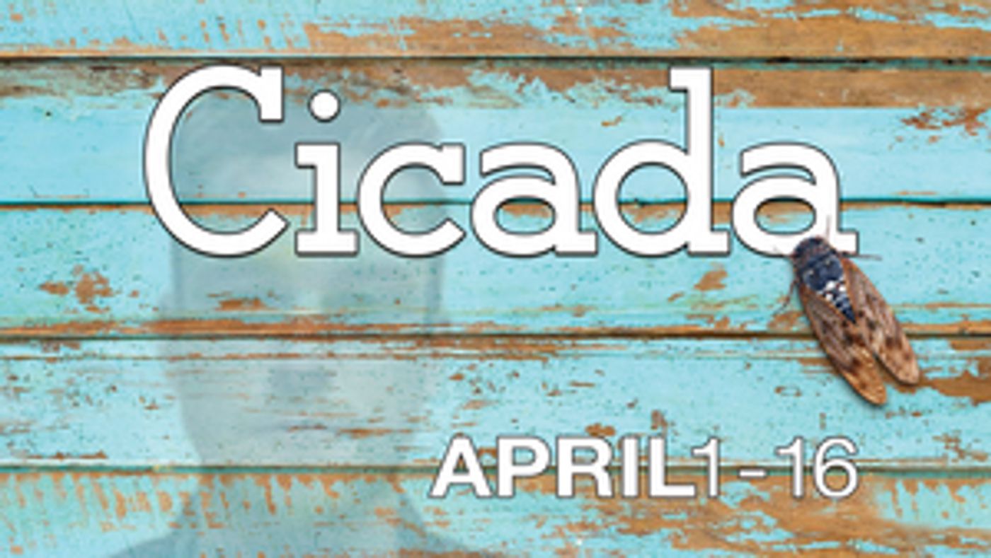 Review: CICADA at Theatre Memphis  Image