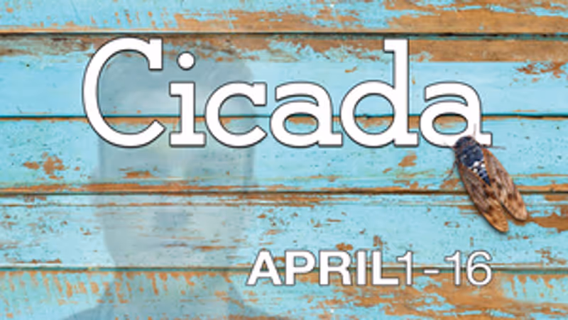 Review: CICADA at Theatre Memphis Image