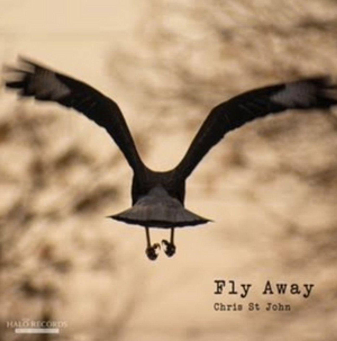 Chris St. John Set to Release Full-Length Album FLY AWAY Chris St. John Set to Release Full-Length Album FLY AWAY Image