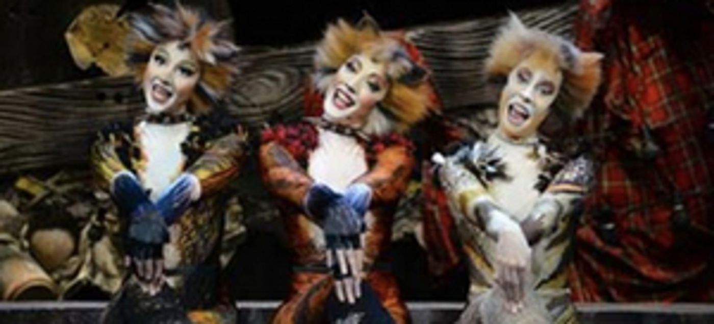 CATS Comes to Theater 11 Zurich CATS Comes to Theater 11 Zurich Image