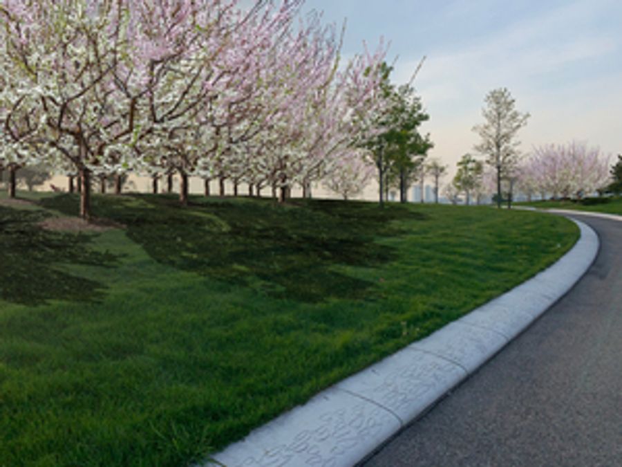 The Trust for Governors Island to Unveil The Open Orchard in Spring 2022 Image