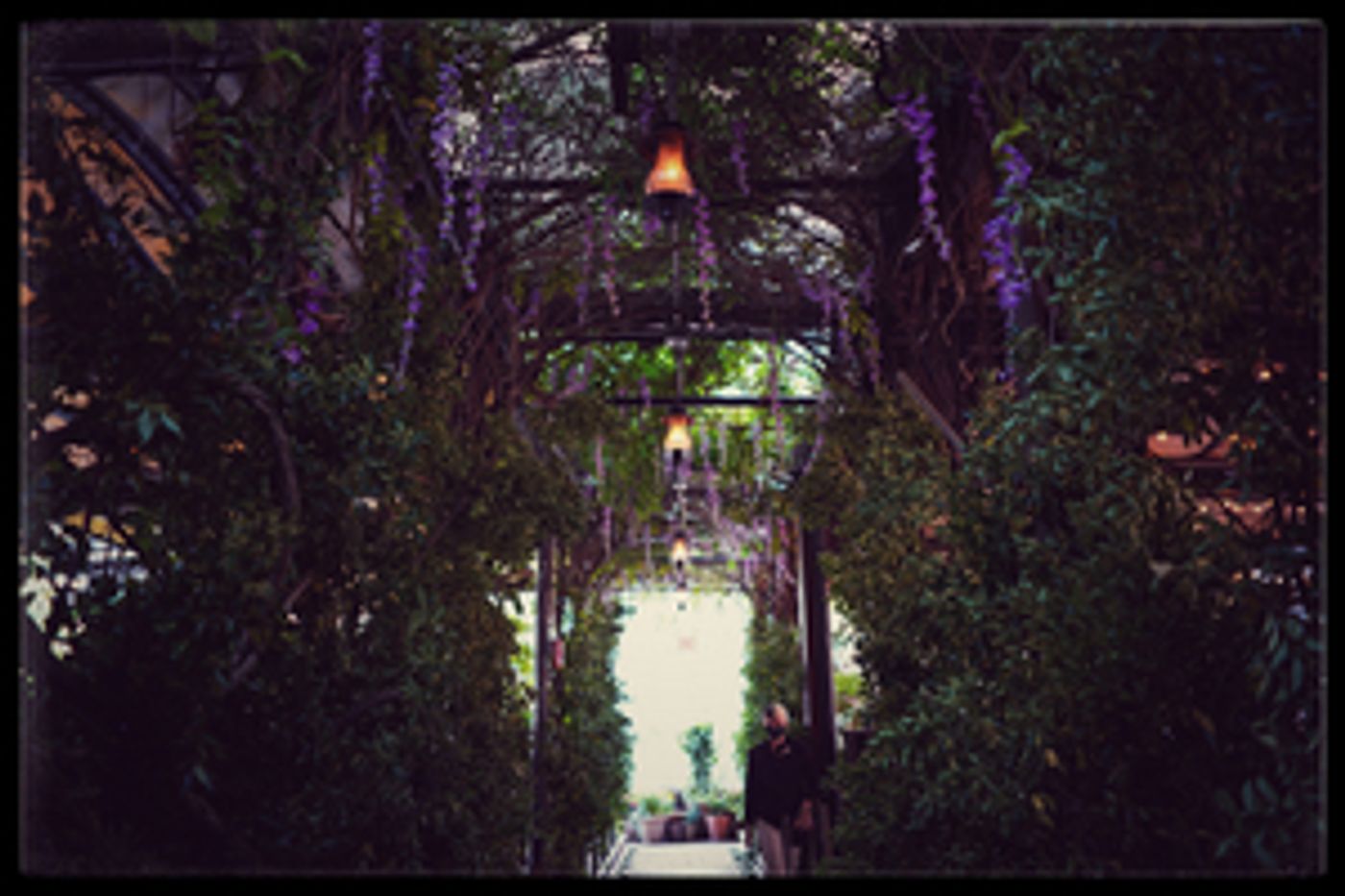 The McKittrick Hotel to Open Gallow Green Rooftop The McKittrick Hotel to Open Gallow Green Rooftop Image