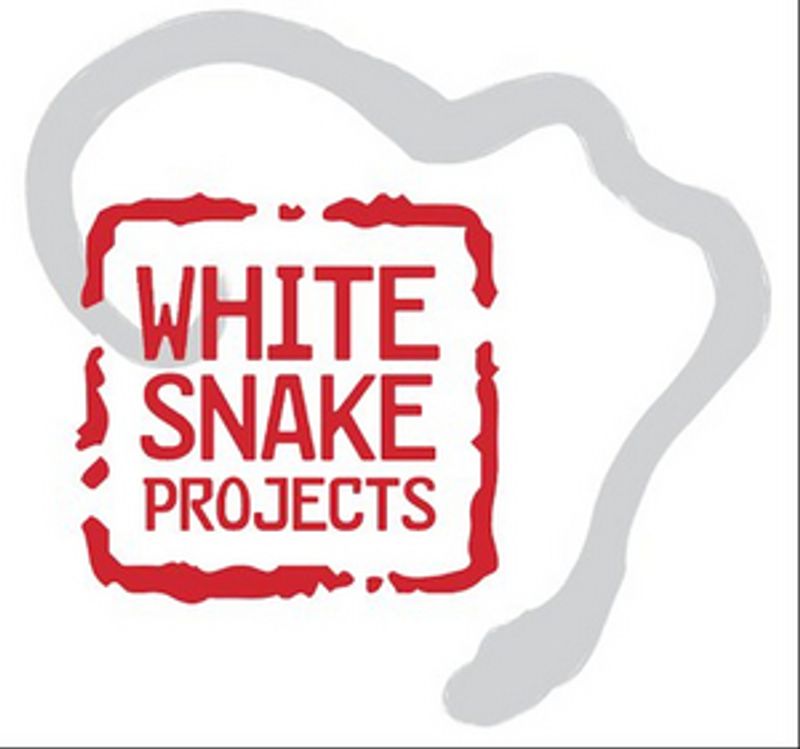 White Snake Projects Receives $750K Mellon Grant Image