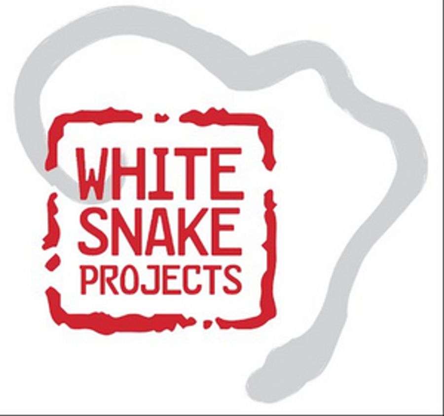 White Snake Projects Receives $750K Mellon Grant  Image