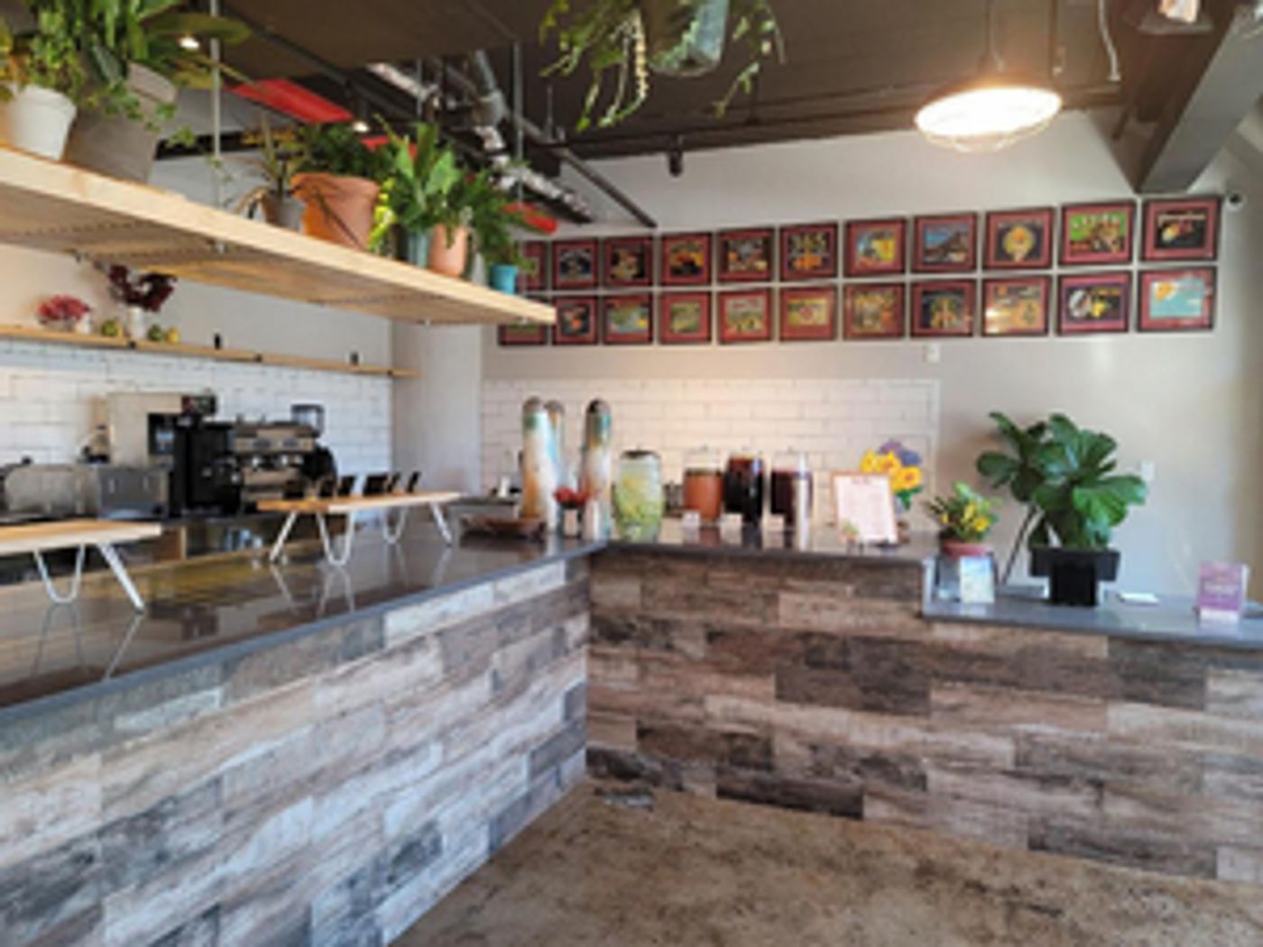 MAE MAE CAFE by Great Performances Opens in NYC-A Vegan Eatery and Plant Store MAE MAE CAFE by Great Performances Opens in NYC-A Vegan Eatery and Plant Store Image