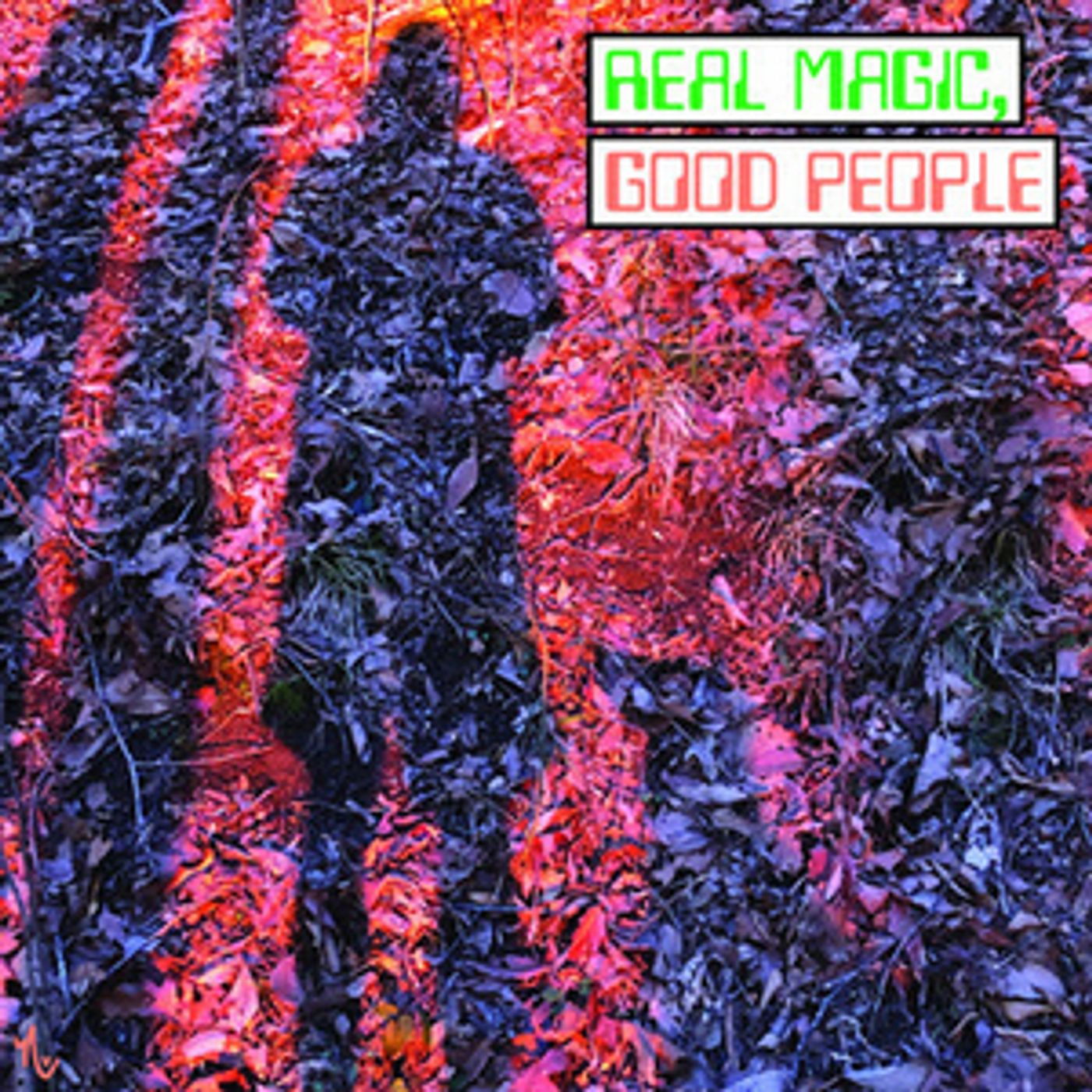 Bob Marston & The Credible Sources Release New Single 'Real Magic, Good People'  Image