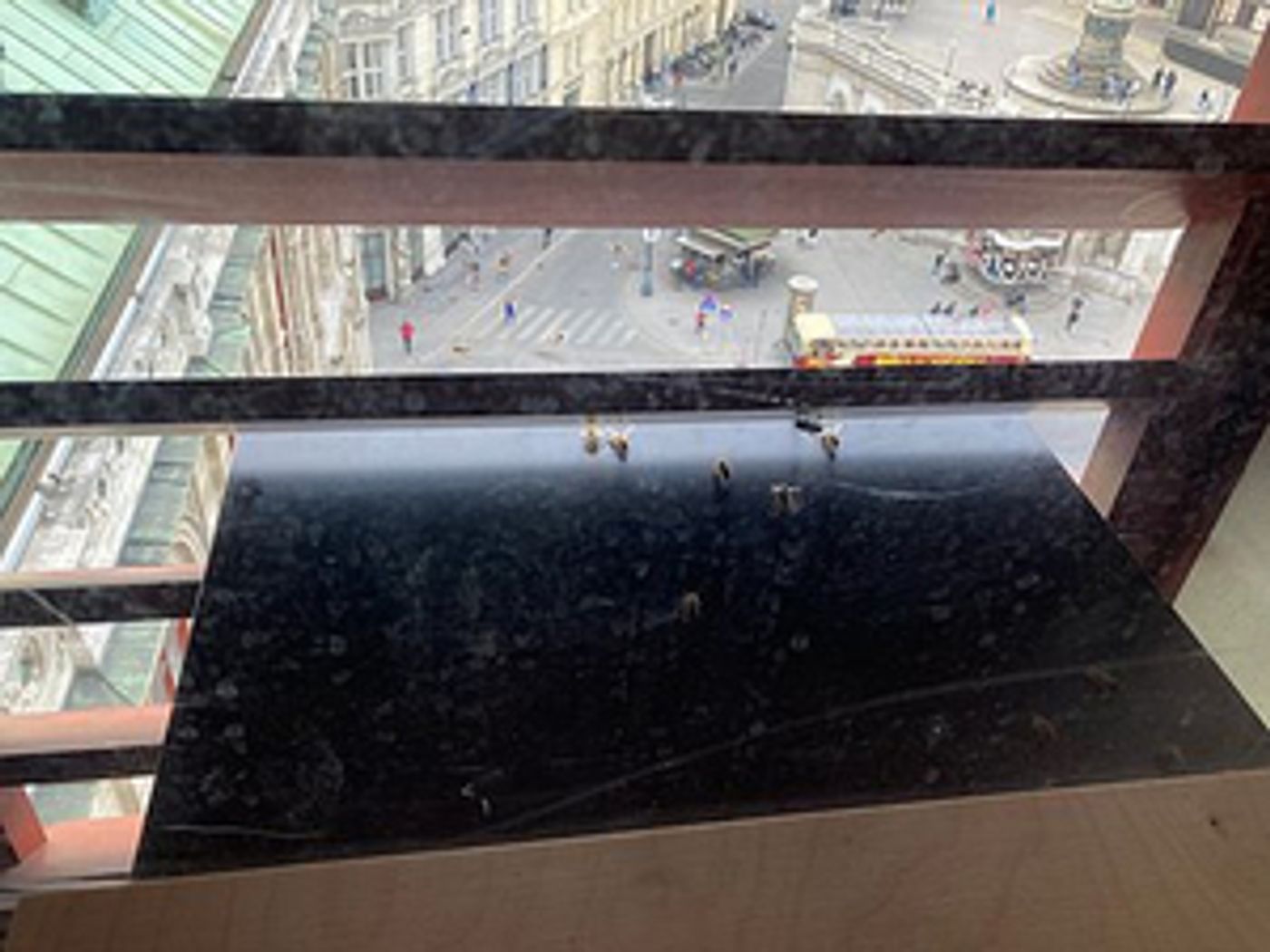 Honey From the Bees at the Vienna State Opera Will Be Sold This Spring Honey From the Bees at the Vienna State Opera Will Be Sold This Spring Image