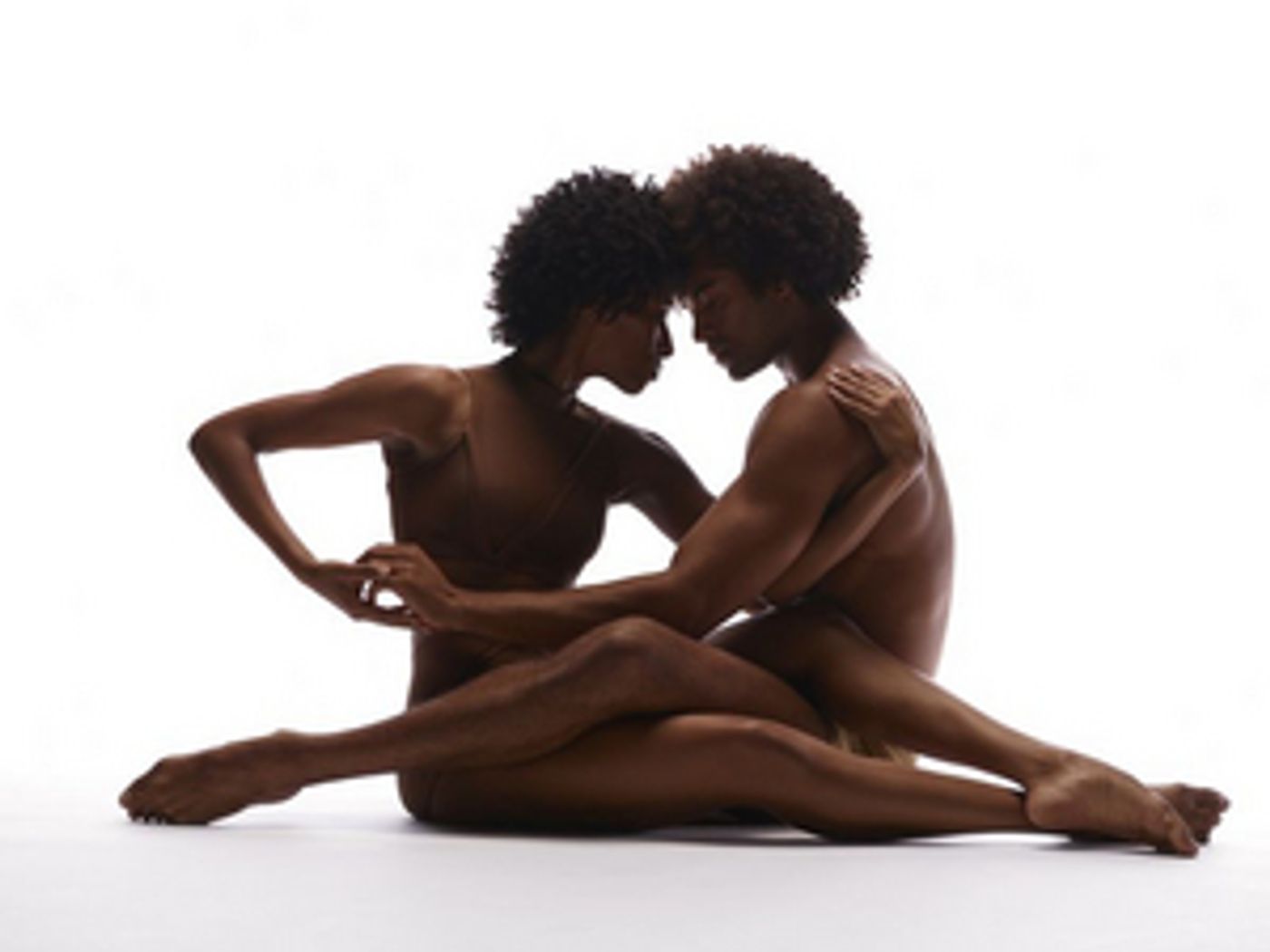 Alvin Ailey American Dance Theater to Return to Lincoln Center With a World Premiere & More  Image