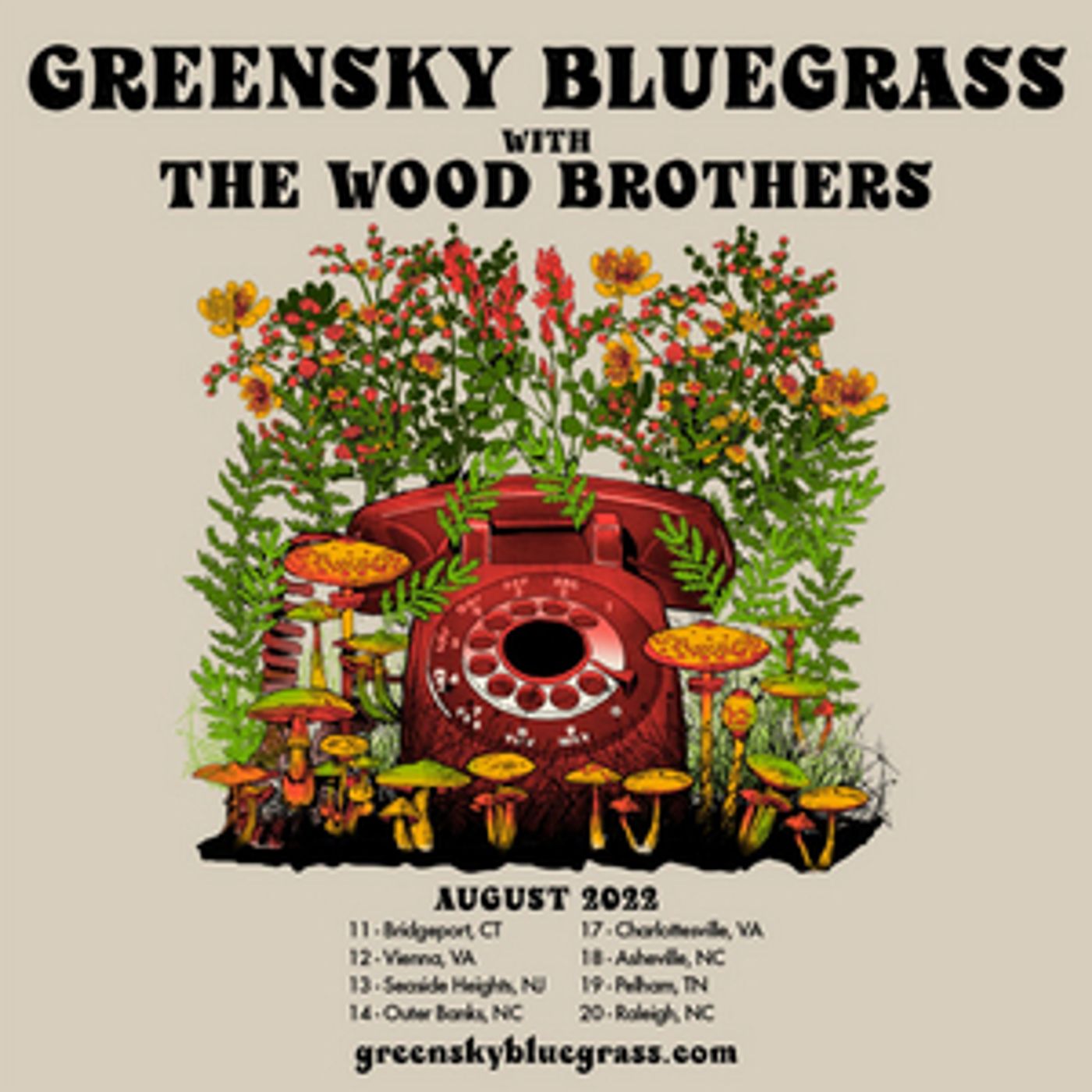 Greensky Bluegrass Announces Intimate Amphitheater Run This Summer With The Wood Brothers  Image