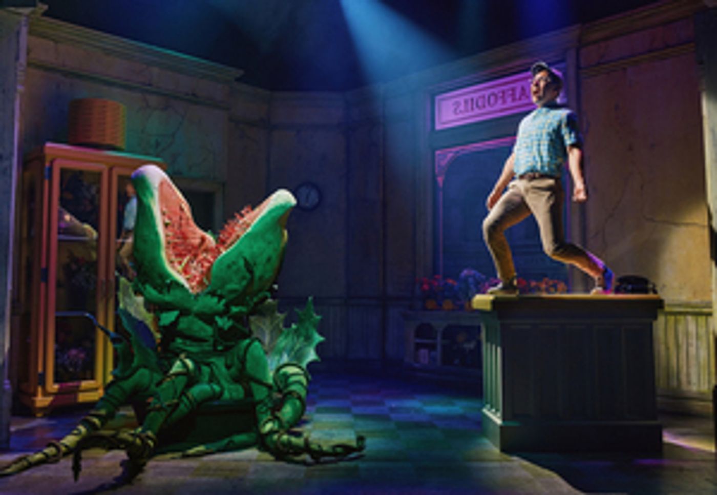 LITTLE SHOP OF HORRORS Announces 40th Anniversary Celebrations LITTLE SHOP OF HORRORS Announces 40th Anniversary Celebrations Image