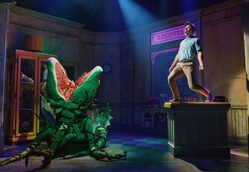 LITTLE SHOP OF HORRORS Announces 40th Anniversary Celebrations Image