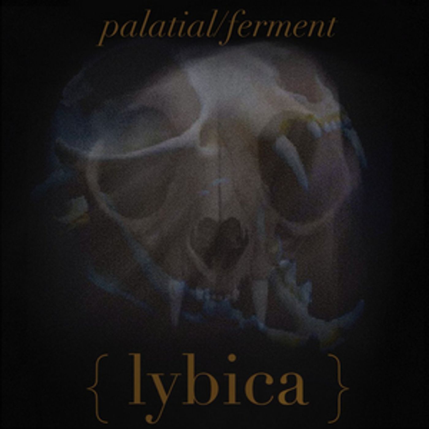 Lybica, Feat. KsE Drummer Justin Foley, Shares Double Single 'Palatial' & 'Ferment' Lybica, Feat. KsE Drummer Justin Foley, Shares Double Single 'Palatial' & 'Ferment' Image