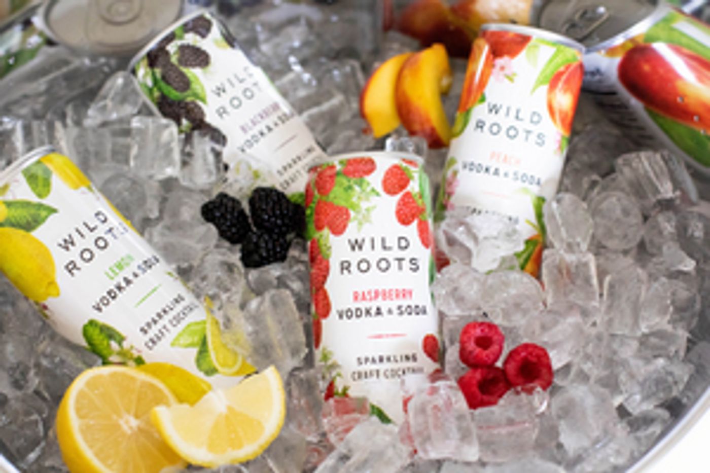 WILD ROOTS SPIRITS Present Vodka & Soda RTD Beverages WILD ROOTS SPIRITS Present Vodka & Soda RTD Beverages Image
