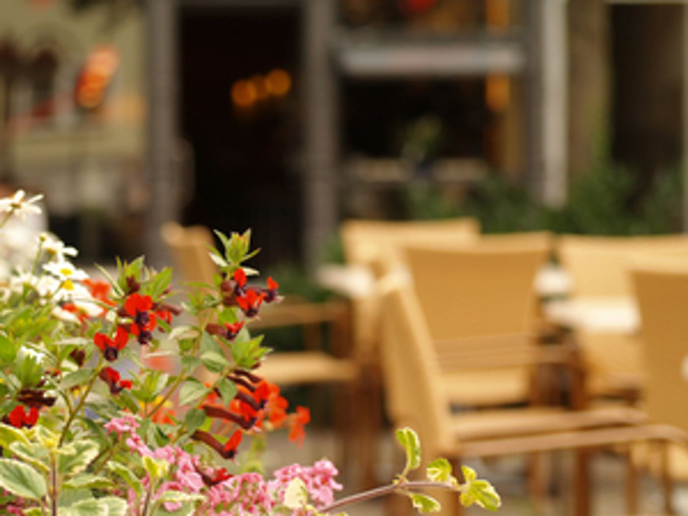 Take MOM to Dinner-Check Out Some Great Choices  Image