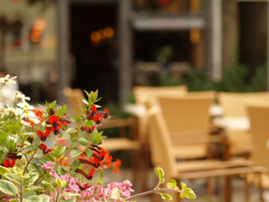 Take MOM to Dinner-Check Out Some Great Choices Image