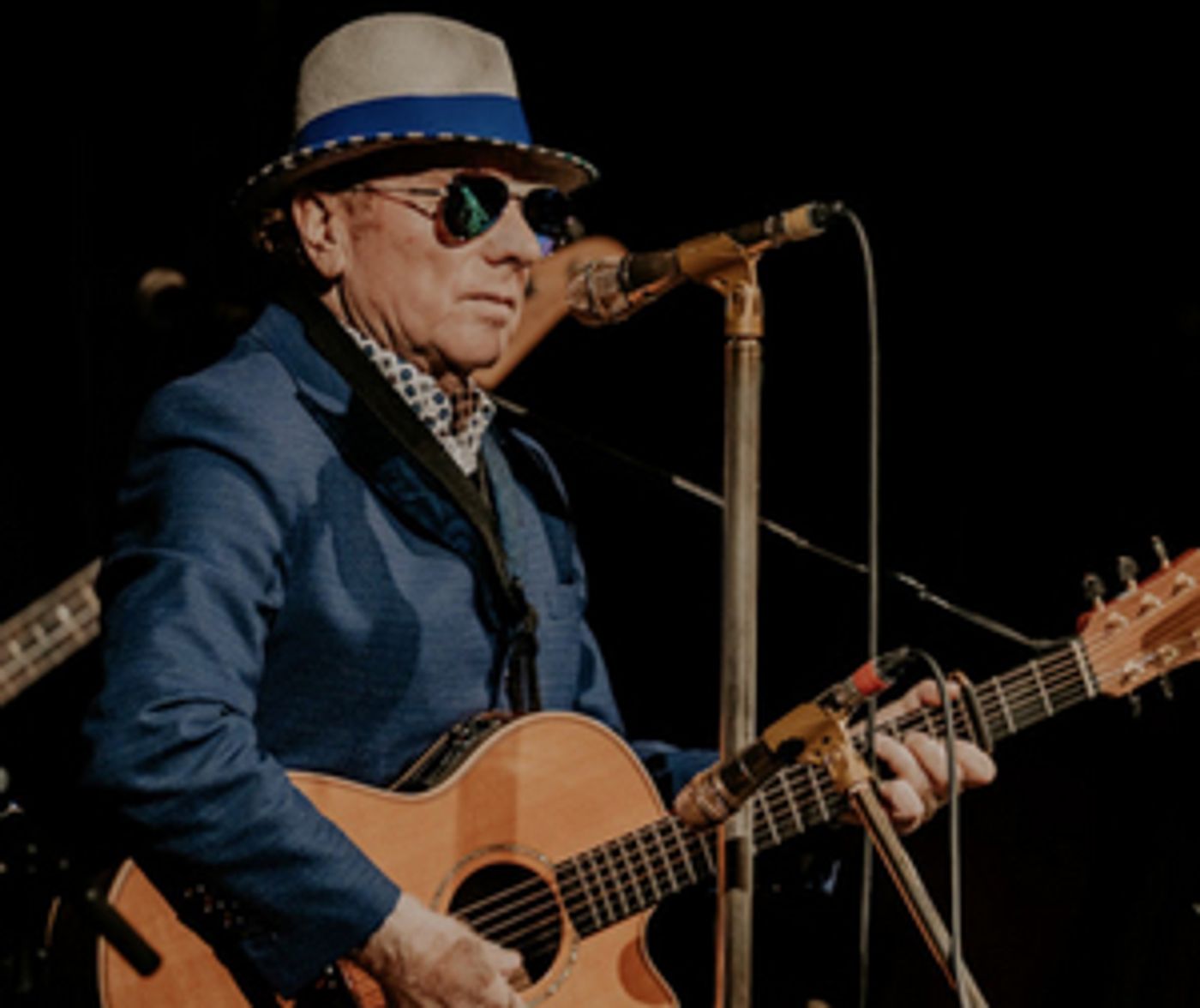 Van Morrison Releases Third Single Off of Upcoming Album Van Morrison Releases Third Single Off of Upcoming Album Image