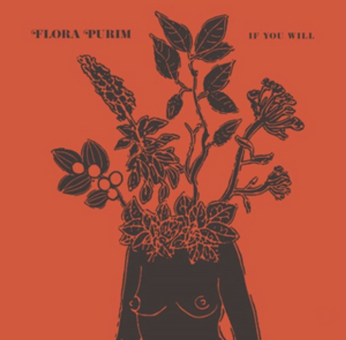 Brazilian Jazz Fusion Artist Flora Purim Drops 'If You Will' Brazilian Jazz Fusion Artist Flora Purim Drops 'If You Will' Image