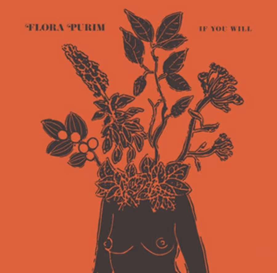 Brazilian Jazz Fusion Artist Flora Purim Drops 'If You Will' Image