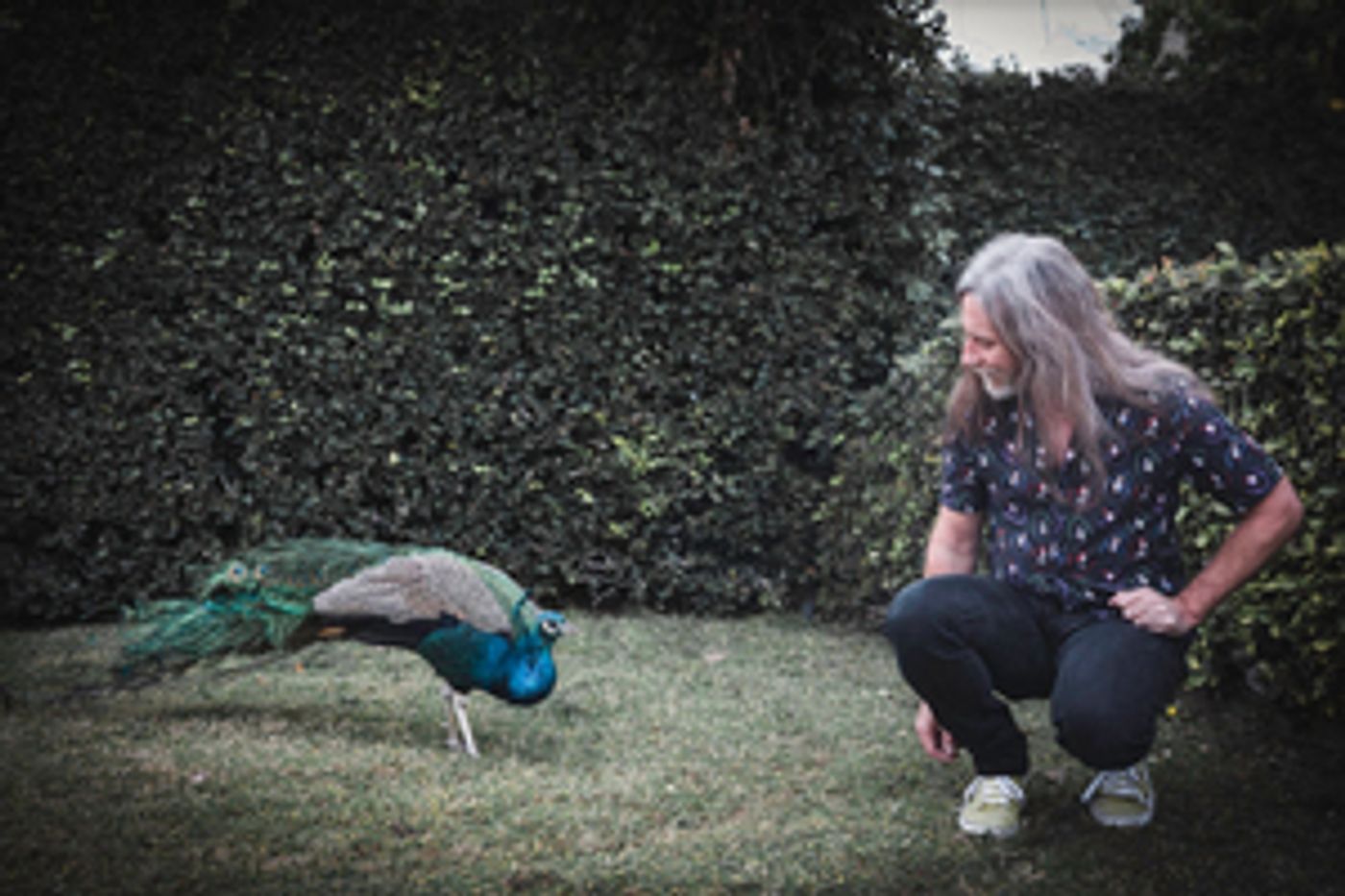 Pink Mountaintops Shares New Track, 'Nikki Go Sudden,' Ahead of New Album Release  Image