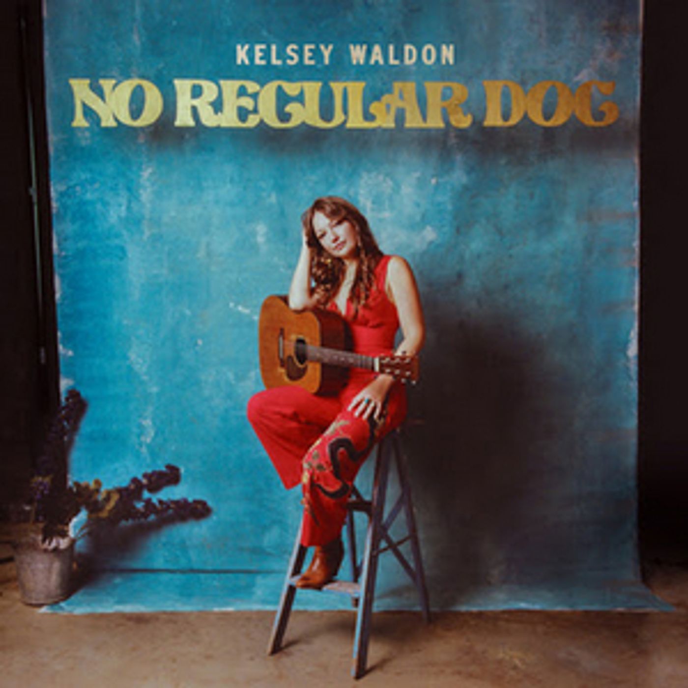 Kelsey Waldon Releases 'Sweet Little Girl' From New Album 'No Regular Dog' Kelsey Waldon Releases 'Sweet Little Girl' From New Album 'No Regular Dog' Image