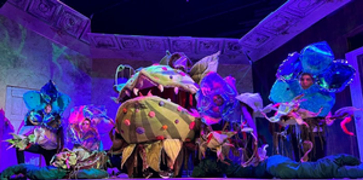Review: LITTLE SHOP OF HORRORS at University Of Central Arkansas Theatre  Image