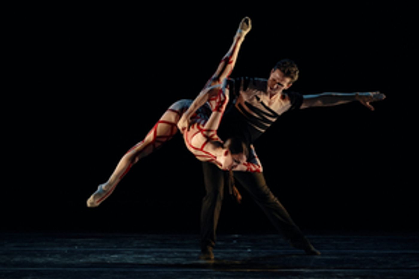 Review: CRYPTO at Bluma Appel Theatre Is Beautiful But Bleak Review: CRYPTO at Bluma Appel Theatre Is Beautiful But Bleak Image