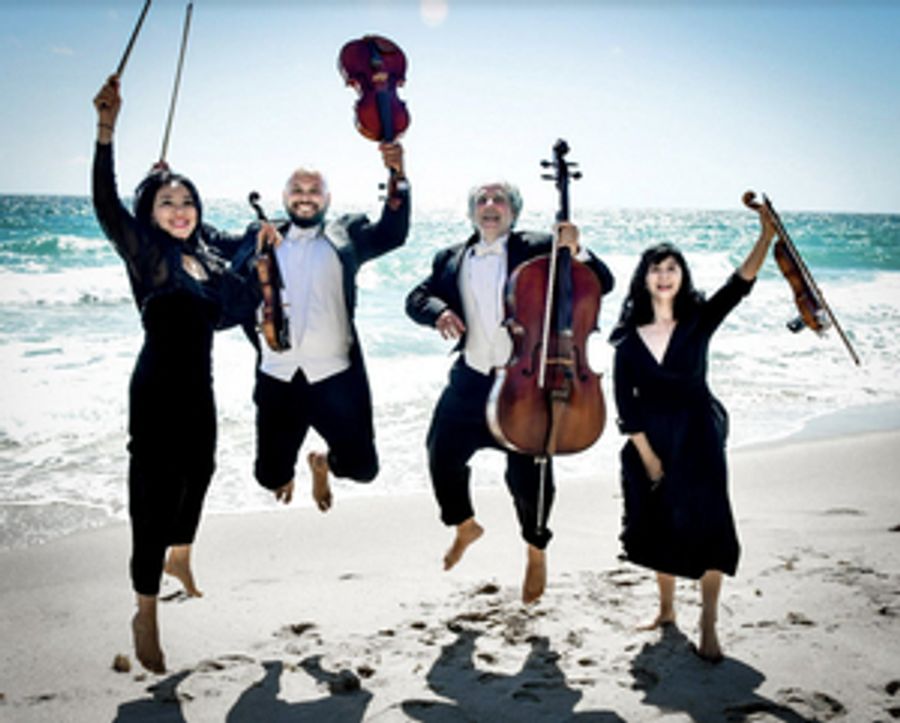 South Florida Symphony Orchestra to Present Summer Chamber Music Series  Image