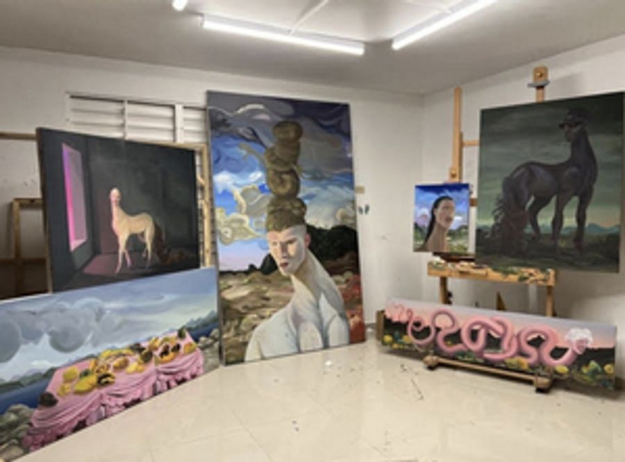 Chapter NY Hosts Dalton Gata's Second Solo Show, CABEZA DE MANGO  Image