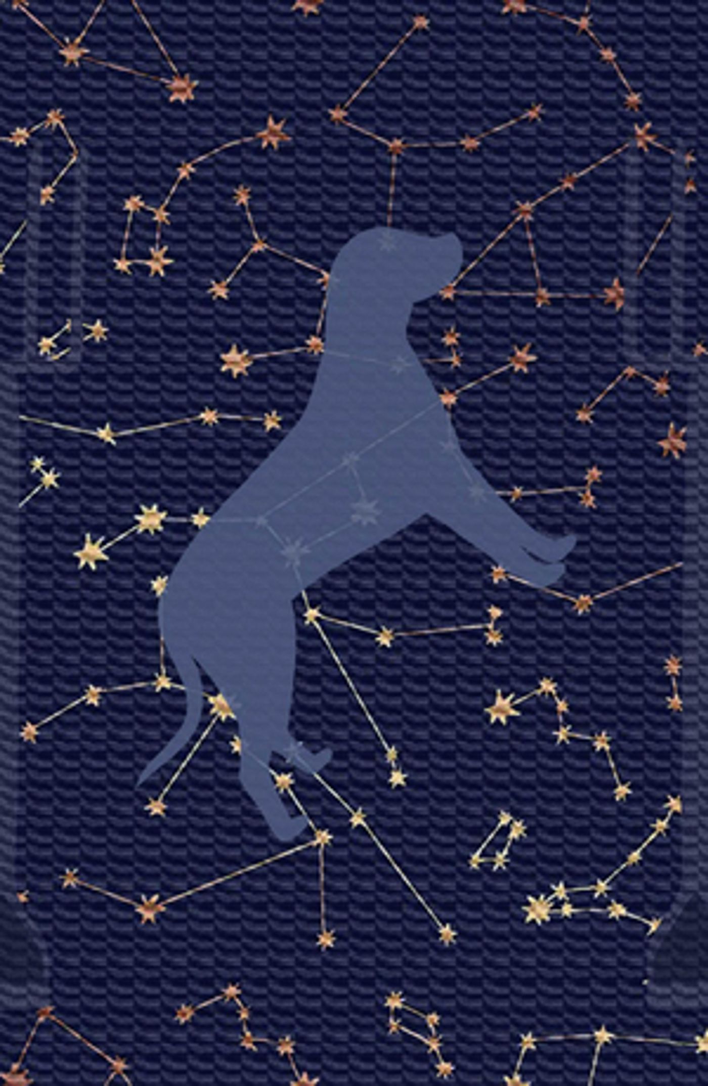 Los Altos Stage Company Announces 2022-23 Season Los Altos Stage Company Announces 2022-23 Season Image