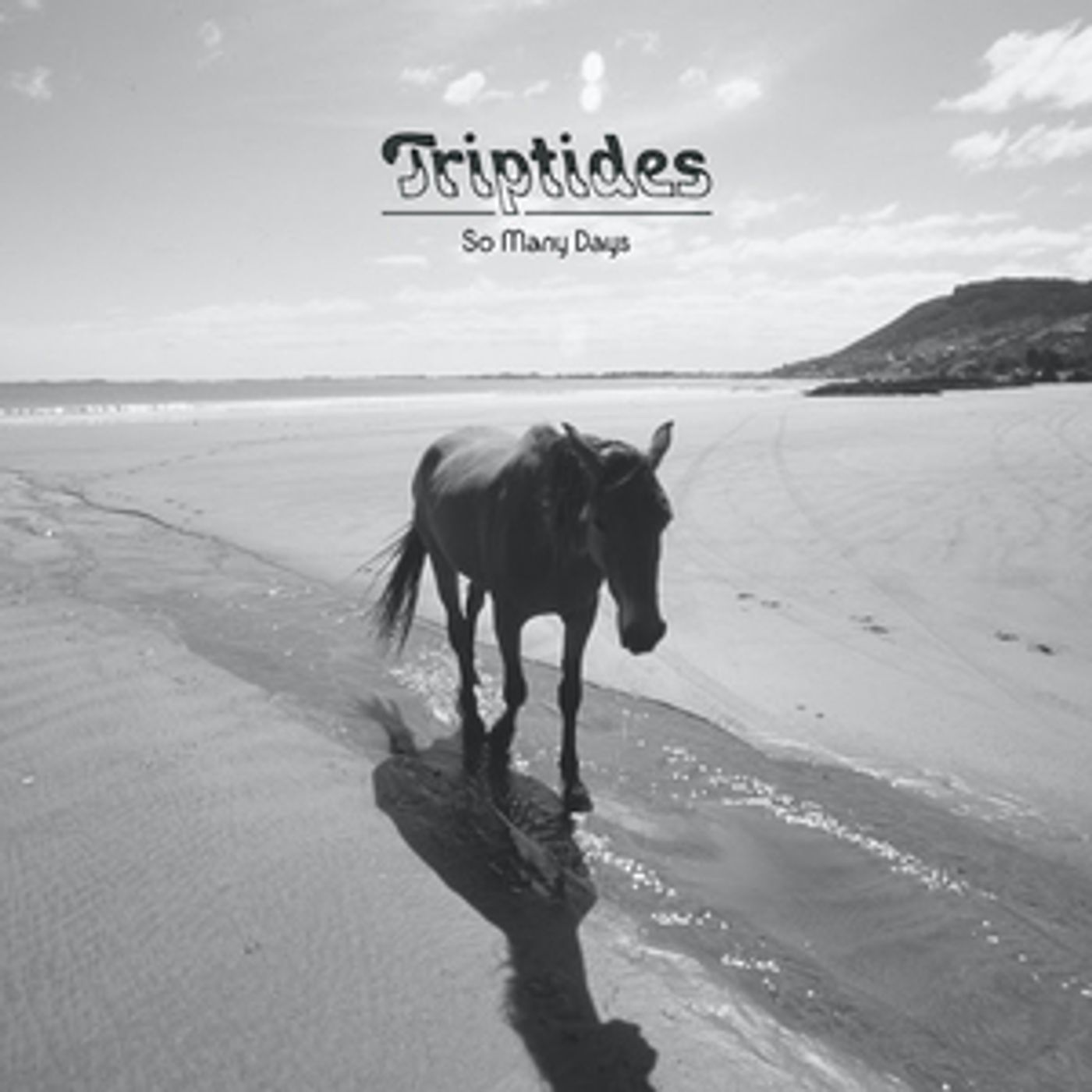 Triptides Share New 'Fate' Single From Their Forthcoming LP Triptides Share New 'Fate' Single From Their Forthcoming LP Image