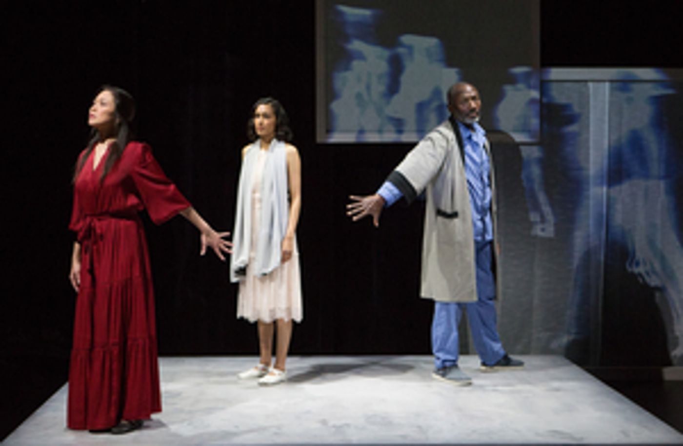 Review: LESSON IN FORGETTING from Pleiades Theatre Makes Much of Memory  Image
