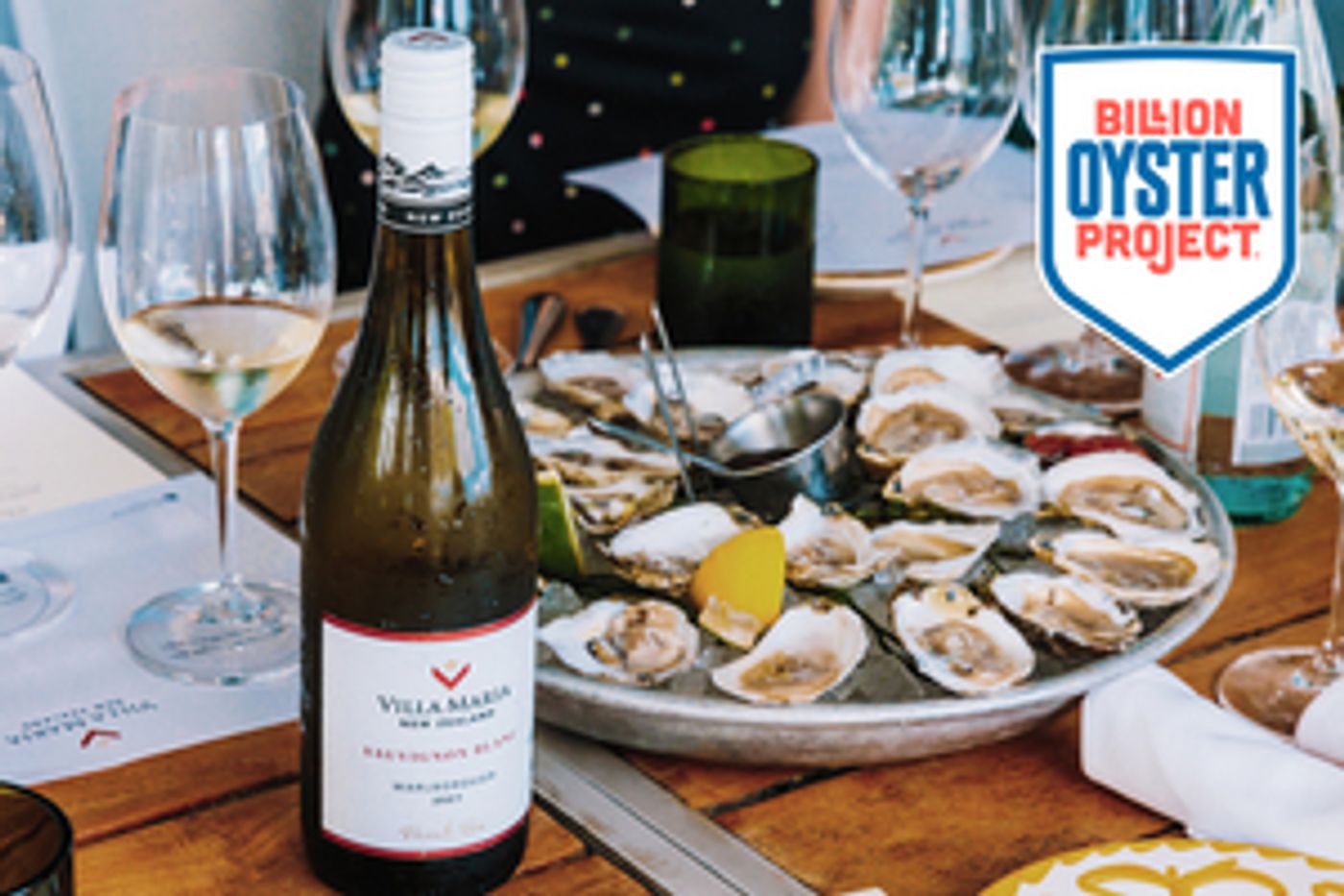 Villa Maria Announces Corporate Sponsorship of NYC's Billion Oyster Project  Image