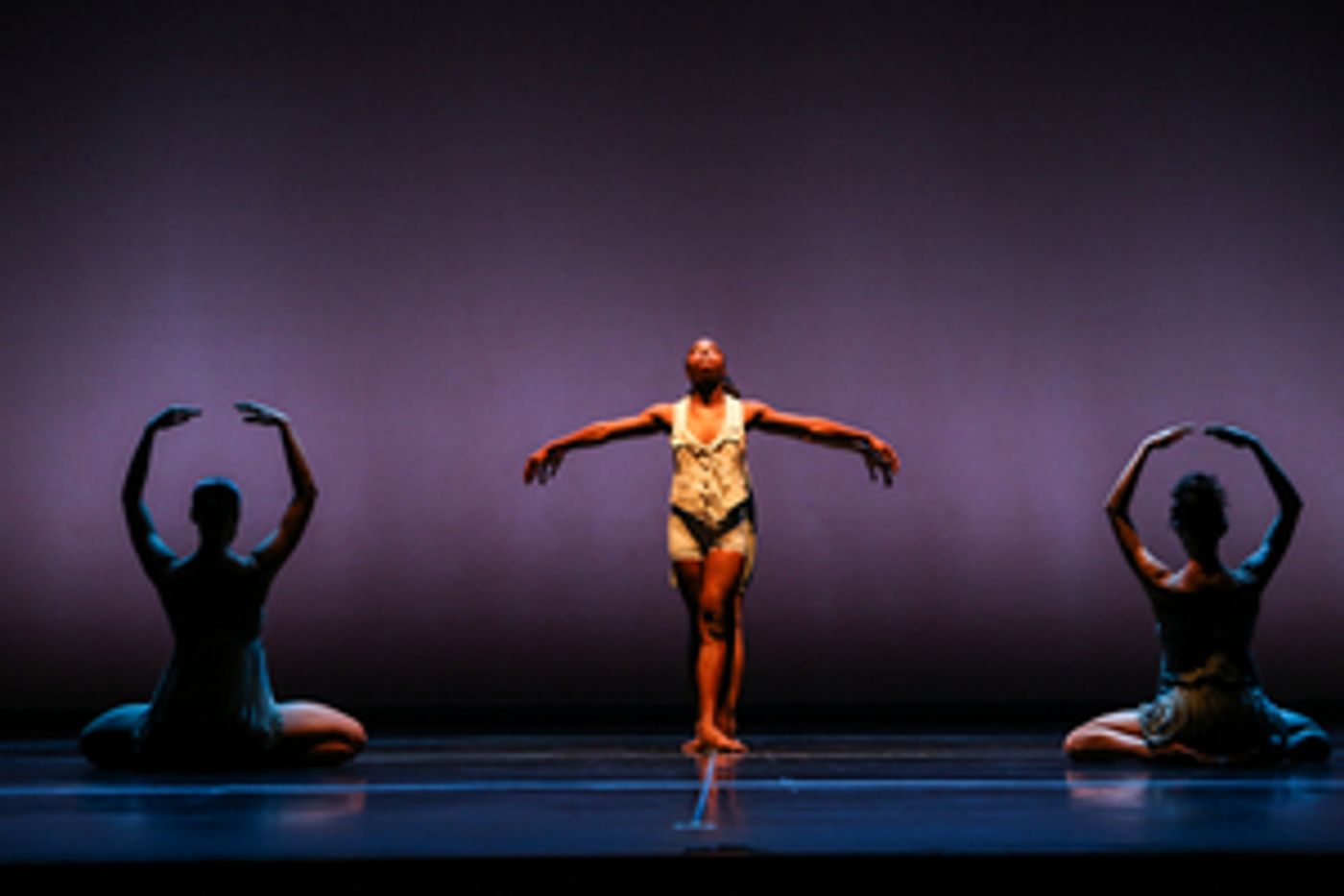 Review: Stephen Petronio Company Makes a Sensorial Return to The Joyce Theater  Image