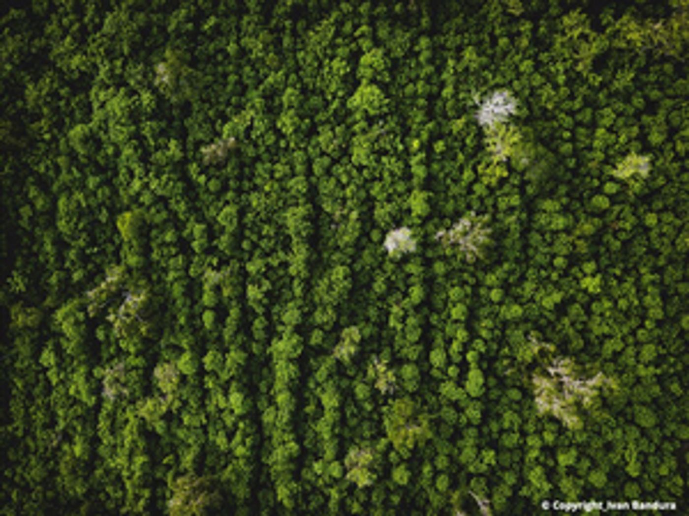 La Monnaie/De Munt Releases New Podcast Series EC(H)O La Monnaie/De Munt Releases New Podcast Series EC(H)O Image