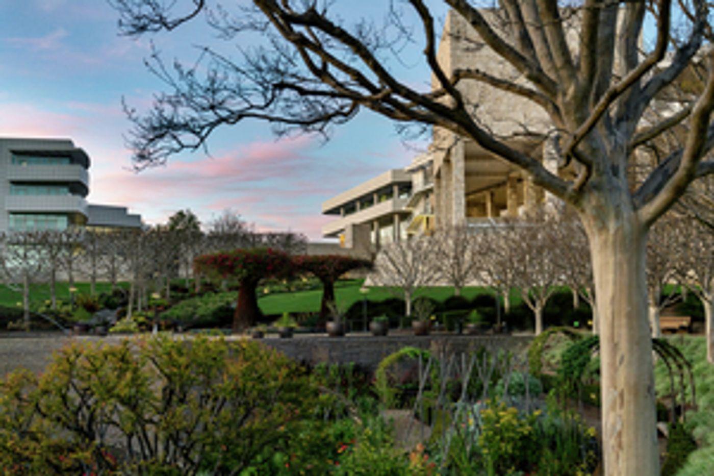 Getty Center Extends Saturday Hours To 8 PM  Image