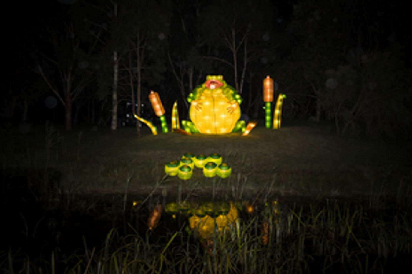 Emerge Festival Comes To The Mount Waverley Community Centre Gardens For Five Nights This Winter  Image