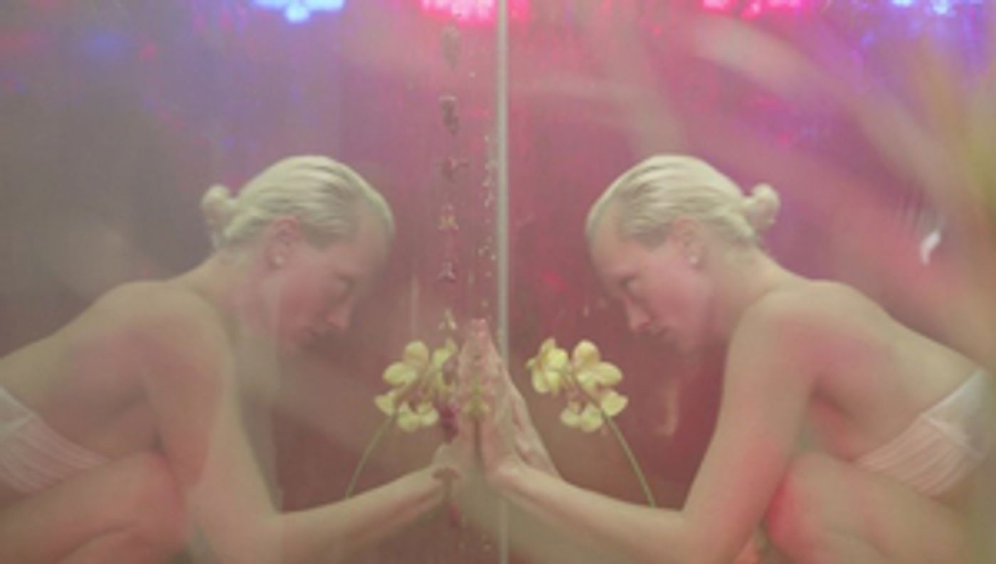 Asia Society Museum Presents MIRROR IMAGE  Image