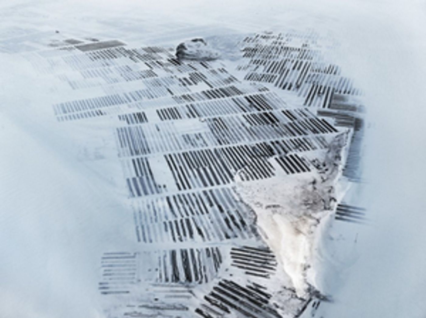 The Crossing Announces 2022-2023 Season 'Cultivate / Curate'  Image