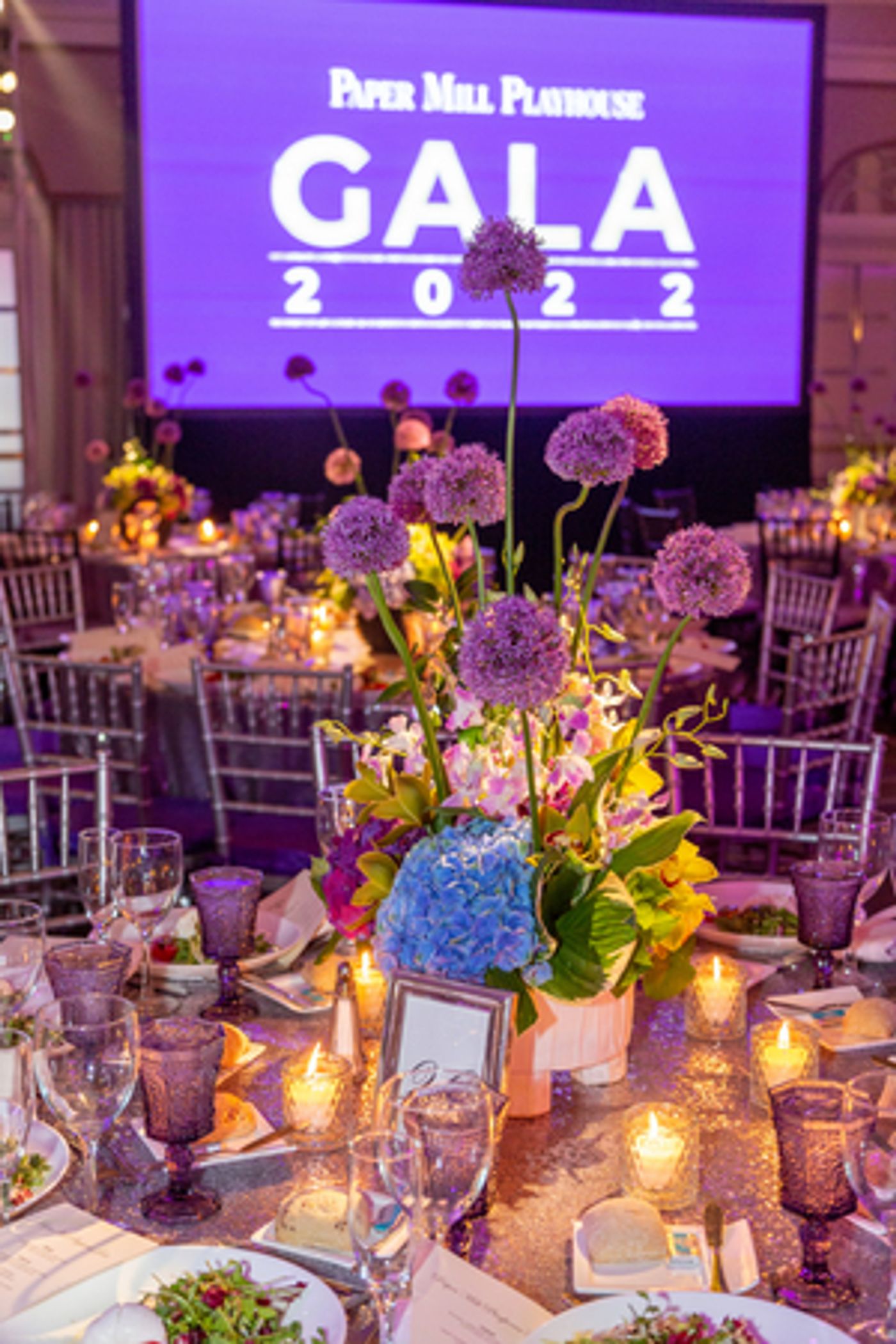 Paper Mill Playhouse Gala Featuring Ali Stroker, Kissy Simmons & More Raises Nearly $1.2M  Image