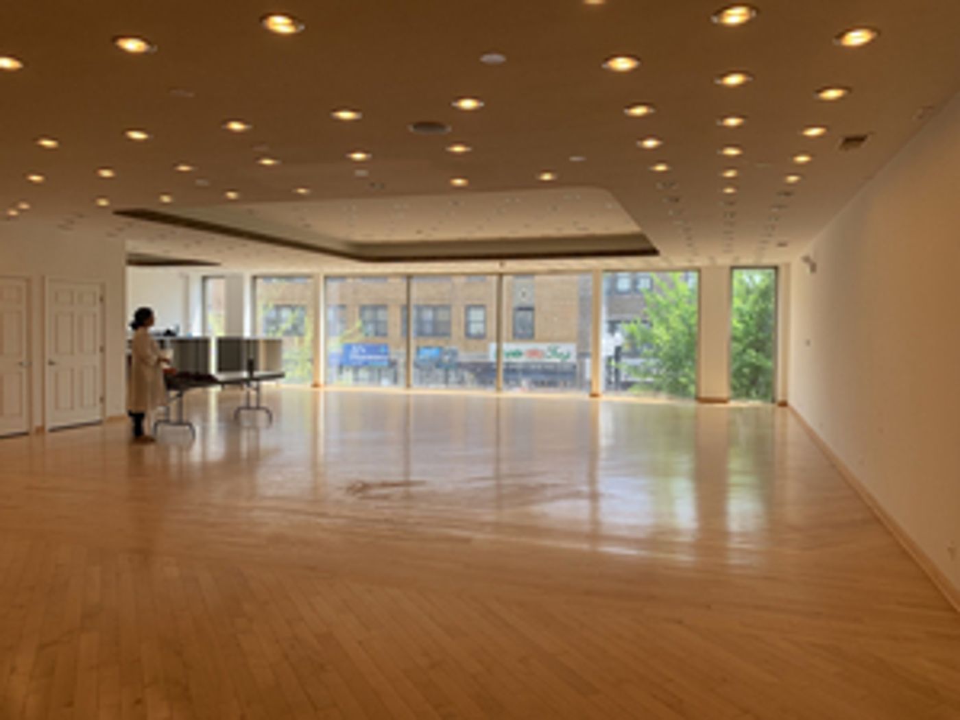 Mandala South Asian Performing Arts Announces New Home on Chicago's Devon Avenue  Image