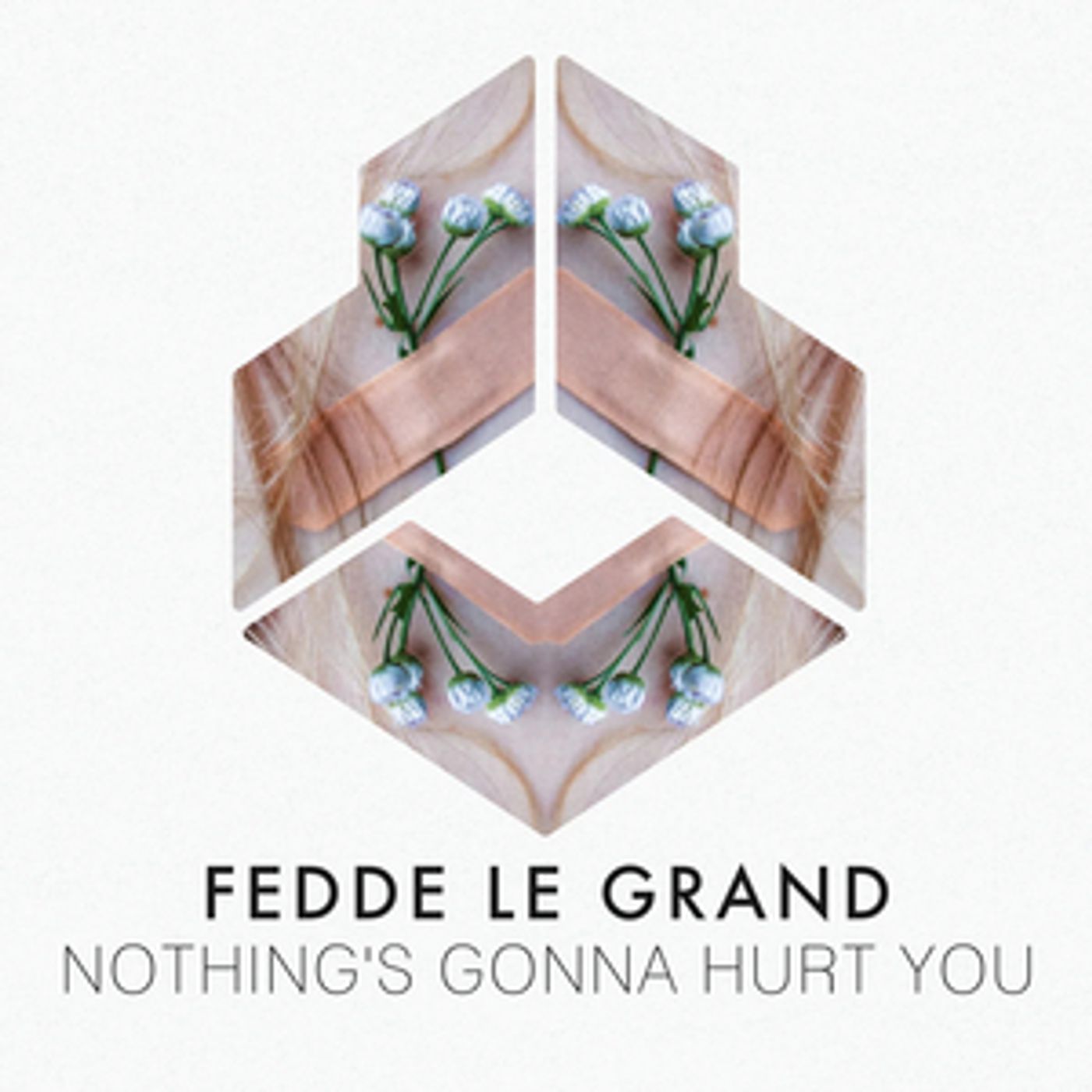 Fedde Le Grand Drops New Hit 'Nothing's Gonna Hurt You'  Image