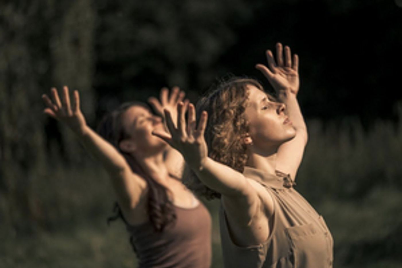 Warrington Museum to Host Trio of Dancers and Orchestra in Commission  Image