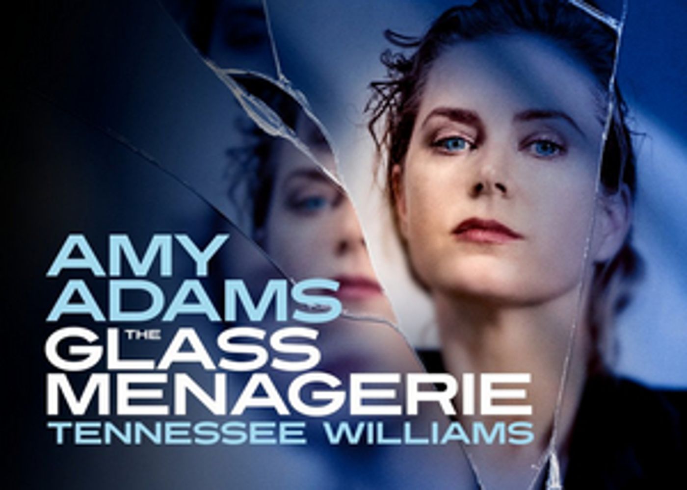 THE GLASS MENAGERIE Leads June's Top 10 New London Shows  Image