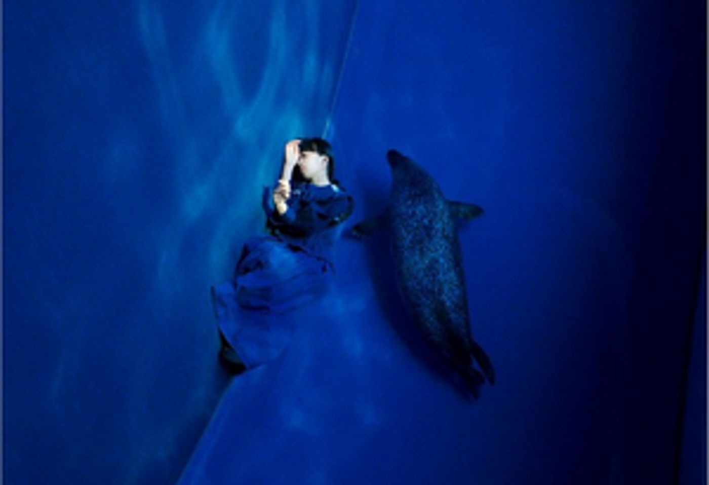 Ichiko Aoba Announces First Ever North American Tour Dates Ichiko Aoba Announces First Ever North American Tour Dates Image