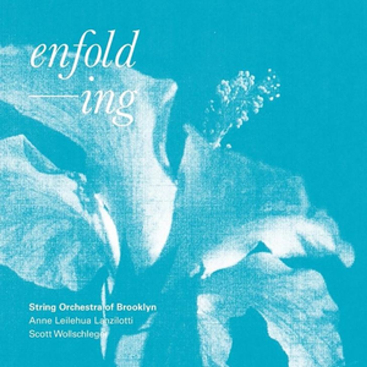 String Orchestra Of Brooklyn to Release ENFOLDING, Feat. Works By Anne Leilehua Lanzilotti And Scott Wollschleger  Image