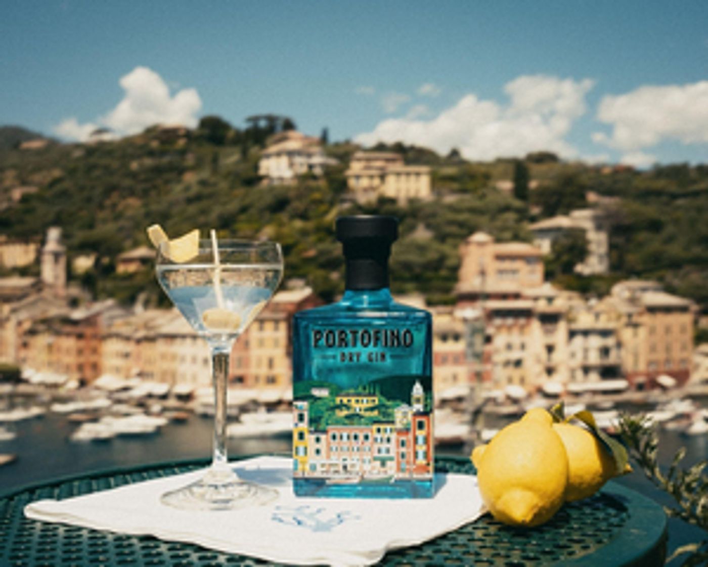 Make Martinis for Dad with PORTOFINO DRY GIN Make Martinis for Dad with PORTOFINO DRY GIN Image